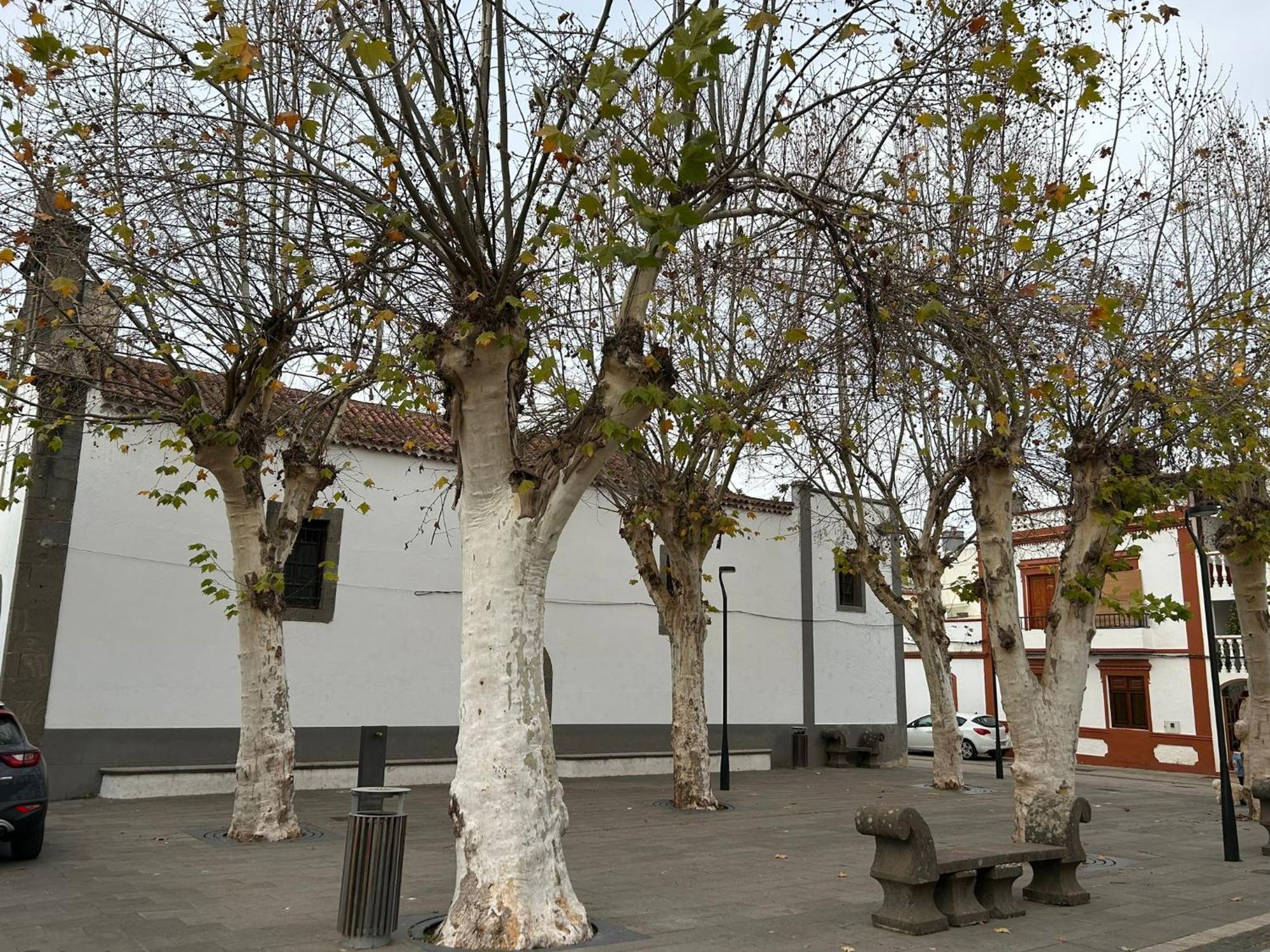 Apartamento Vivienda Alpa Fontanales Agua de Fontanales Exterior foto